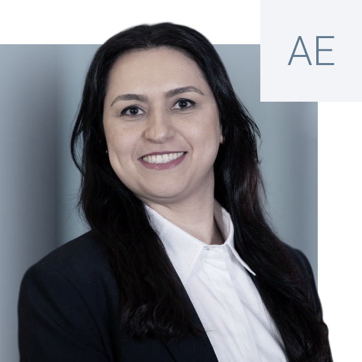 Unternehmen anoushehe